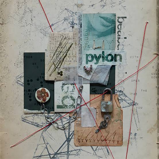 Pylon by beabadoobee album cover